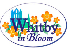 Great news that Whitby won a national award from Britain in Bloom, beating all the other competitors and been awarded a gold medal from the Royal horticultural Society. 
